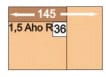 Zehdenick Nice 1,5AhoR