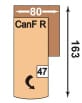 Zehdenick Taverna-S CanFR